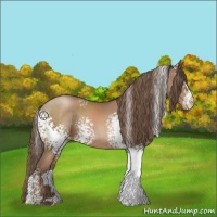 Horse Color:White Spotted Black Pearl 