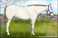 Horse Color:Smoky Grullo Ice Pearl Tobiano 