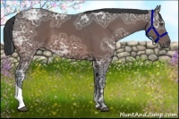 Horse Color:Bay Ice Tobiano 