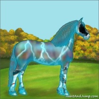 Horse Color:Nacre Thunderstruck Black Sabino Splash 