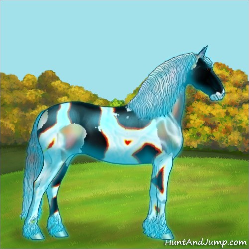 Horse Color:Nacre Thunderstruck Bay Onyx Splash Tobiano 
