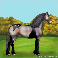 Horse Color:Nacre Blue Onyx Tobiano 