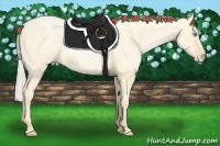 Horse Color:Silver Buckskin Roan Pearl Dun 