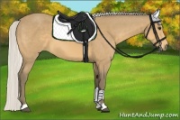 Horse Color:Silver Buckskin 