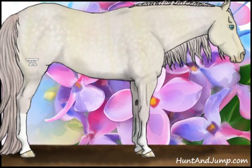 Horse Color:Platinum Chocolate Perlino