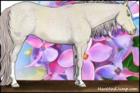 Horse Color:Platinum Chocolate Perlino