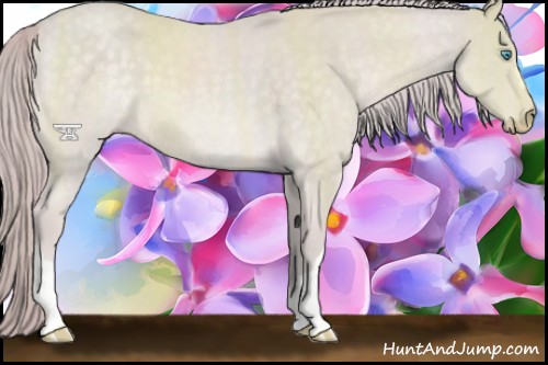 Horse Color:Platinum Chocolate Perlino