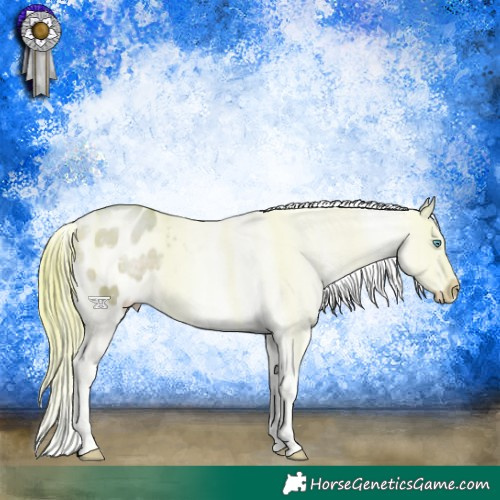 Horse Color:Platinum Watercolor Buckskin Pearl Appaloosa 