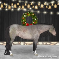 Horse Color:Platinum Buckskin Roan 