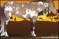 Horse Color:Platinum White Spotted Chocolate Buckskin