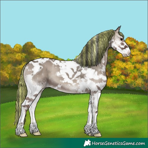 Horse Color:Painted Grullo Onyx Splash Tobiano