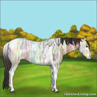 Horse Color:Bay Ice Tobiano 