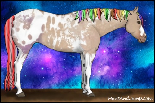 Horse Color:Painted Silver Brown Dun Tobiano Appaloosa 