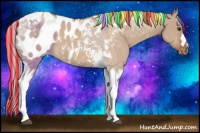 Horse Color:Painted Silver Brown Dun Tobiano Appaloosa 