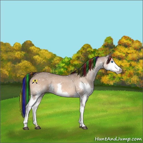 Horse Color:Painted Bay Dun Splash