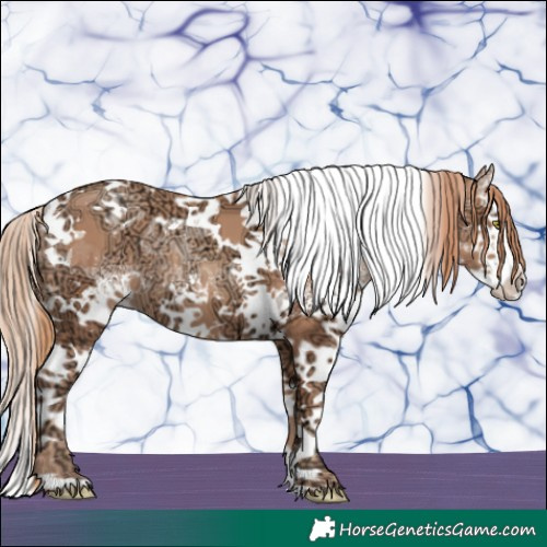 Horse Color:White Spotted Gold Champagne Ice Splash Tobiano