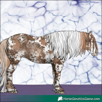 Horse Color:White Spotted Gold Champagne Ice Splash Tobiano 