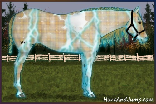 Horse Color:Thunderstruck Plaid  Red Dun Tobiano 