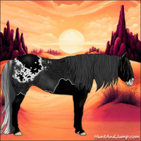 Horse Color:Black Ice Splash Appaloosa 