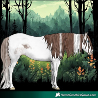Horse Color:Liver Chestnut Ice Splash Tobiano Appaloosa 