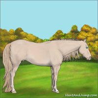 Horse Color:Perlino 