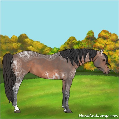 Horse Color:Brown Ice 