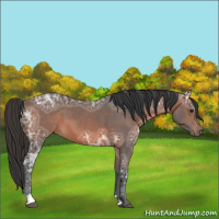 Horse Color:Brown Ice 