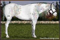Horse Color:Nacre Plaid  Liver Chestnut Ice Splash Tobiano 