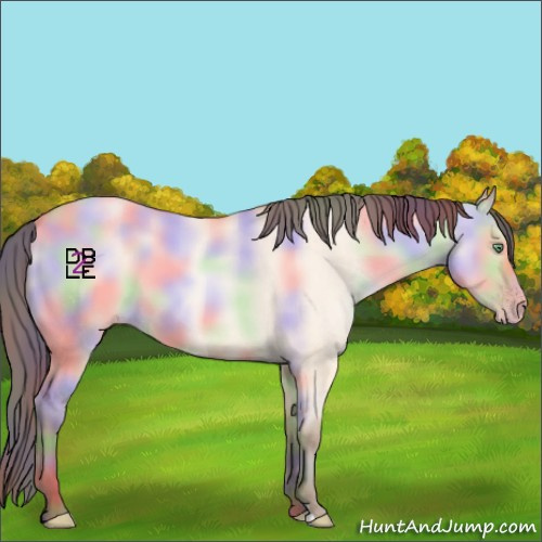 Horse Color:Nacre Amber Champagne Dun