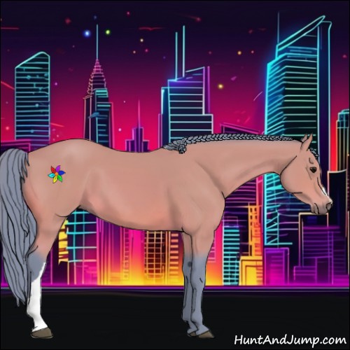 Horse Color:Watercolor Bay 