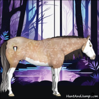 Horse Color:Sable Champagne Ice Splash 