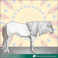 Horse Color:White Spotted Brown Roan Appaloosa 