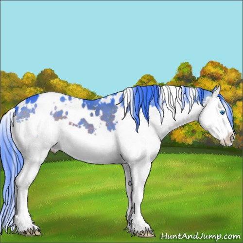 Horse Color:Watercolor White Spotted Brown Splash 
