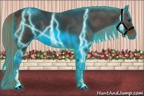 Horse Color:Thunderstruck Liver Chestnut 