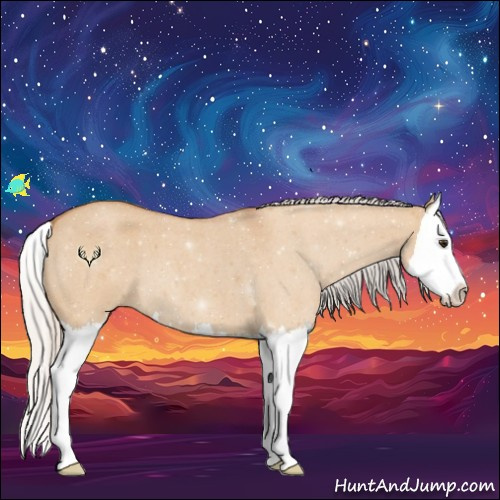 Horse Color:Silver Bay Roan Dun Splash