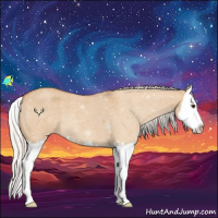 Horse Color:Silver Bay Roan Dun Splash 