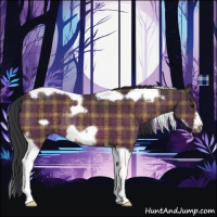 Horse Color:Plaid  Brown Tobiano Frame Rabicano 