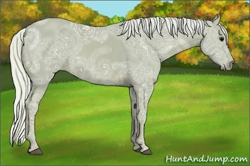 Horse Color:Watercolor Silver Smoky Black Ice 