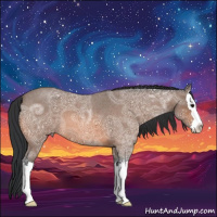 Horse Color:Bay Ice Roan Splash