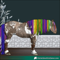 Horse Color:Painted White Spotted Brown Ice Pearl Dun Rabicano 