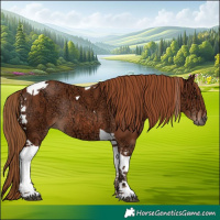 Horse Color:Chestnut Ice Tobiano Rabicano