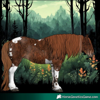Horse Color:Chestnut Ice Tobiano Rabicano 