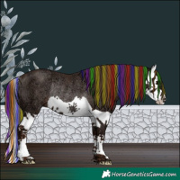 Horse Color:Painted Liver Chestnut Ice Splash Rabicano 