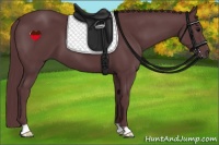 Horse Color:Chocolate Black