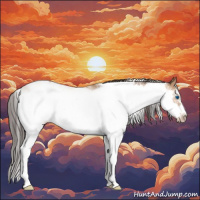 Horse Color:Amber Champagne Sabino Splash Frame 
