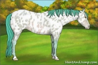 Horse Color:Watercolor Amber Champagne Ice Appaloosa 