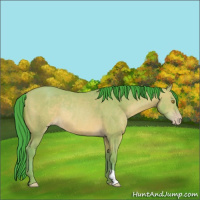 Horse Color:Watercolor Amber Champagne Rabicano 