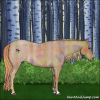 Horse Color:Nacre Red Roan Sabino 