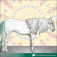 Horse Color:Gray Watercolor White Spotted Bay Ice Sabino Splash