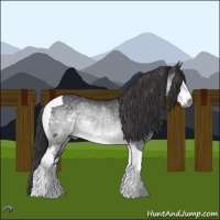 Horse Color:White Spotted Buckskin Chinchilla Tobiano 